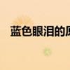 蓝色眼泪的原理 蓝眼泪究竟是如何形成的