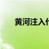 黄河注入什么海域 黄河注入哪个海域