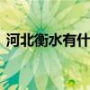 河北衡水有什么特产 河北衡水的特产有什么
