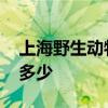 上海野生动物园好玩吗 上海野生动物园门票多少