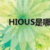 HIOUS是哪个的品牌 HIOUS是做什么的