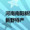 河南南阳新野县知名特产有哪些 适合带走的新野特产