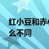 红小豆和赤小豆的区别 红小豆和赤小豆有什么不同