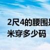 2尺4的腰围是多少厘米 2尺4的腰围是多少厘米穿多少码