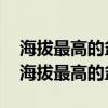 海拔最高的盆地是什么盆地 我国四大盆地中海拔最高的盆地