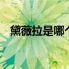 黛薇拉是哪个的品牌 黛薇拉是什么的品牌