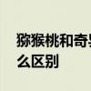 猕猴桃和奇异果一样吗 猕猴桃和奇异果有什么区别