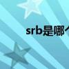 srb是哪个的缩写 srb是哪个的缩写