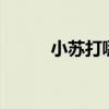 小苏打哪里买 小苏打哪里买得到