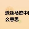 蛛丝马迹中的马指什么 蛛丝马迹中的马是什么意思
