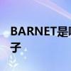 BARNET是哪个的品牌 BARNET是哪个的牌子