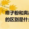 痱子粉和爽身粉有什么区别 痱子粉和爽身粉的区别是什么