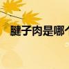 腱子肉是哪个部位 腱子肉指的是哪个部位