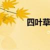 四叶草花语 四叶草花语是什么
