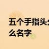 五个手指头分别叫什么 五个手指头分别叫什么名字