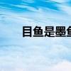 目鱼是墨鱼吗 墨鱼和目鱼是一样的吗