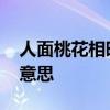 人面桃花相映红的意思 人面桃花相映红什么意思