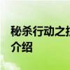 秘杀行动之抗日谍战内容简介  秒杀行动剧情介绍