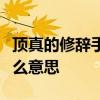 顶真的修辞手法是什么	 顶真的修辞手法是什么意思