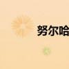努尔哈赤简介 努尔哈赤的简介