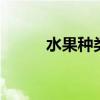 水果种类有哪些 水果种类有什么