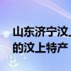 山东济宁汶上县知名特产有哪些 可以带回家的汶上特产