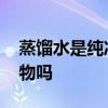 蒸馏水是纯净物吗 蒸馏水是纯净物吗是化合物吗