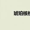 琥珀核桃的做法 琥珀核桃怎么做