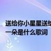 送给你小星星送给你花一朵是什么歌 送给你小星星送给你花一朵是什么歌词