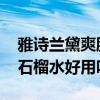 雅诗兰黛爽肤水红石榴水怎么样 雅诗兰黛红石榴水好用吗