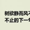树欲静而风不止的下一句是什么  树欲静而风不止的下一句