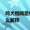 鸡犬相闻是什么意思 鸡犬相闻是什么意思怎么解释