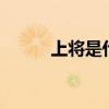 上将是什么级别 上将是哪个级别