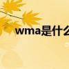 wma是什么格式 wma是什么格式文件 