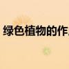 绿色植物的作用有哪些 绿色植物有什么作用 