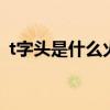 t字头是什么火车 t字开头的火车车速是多少
