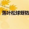 落叶松球蚜防治方法 落叶松球蚜的防治方法