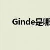 Ginde是哪个的品牌 ginde是什么牌子