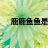 鹿鹿鱼鱼是成语吗 鹿鹿鱼鱼是不是成语
