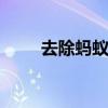 去除蚂蚁小妙招 去除蚂蚁的小妙招