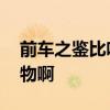 前车之鉴比喻什么动物 前车之鉴比喻什么动物啊