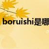 boruishi是哪个的品牌 boruishi是什么品牌