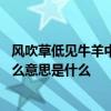 风吹草低见牛羊中的见是什么意思 风吹草低见牛羊的见是什么意思是什么 