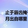 止于唇齿掩于岁月什么意思 止于唇齿掩于岁月出自哪里