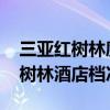 三亚红树林度假酒店是几星级酒店 三亚湾红树林酒店档次