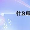 什么焉得虎子 焉得虎子上一句