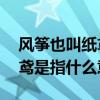 风筝也叫纸鸢其中鸢是指 风筝也叫纸鸢其中鸢是指什么意思