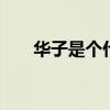 华子是个什么梗 来根华子是什么意思