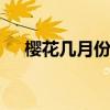 樱花几月份开放 樱花开放是在什么时候
