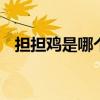 担担鸡是哪个地方的菜 担担鸡是哪里的菜